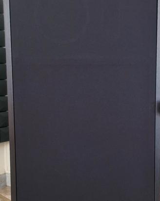 Diffusori Magnat Transplus 1500