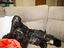 Immagine 2