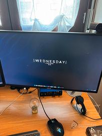 Coppia di monitor Asus 27 pollici con supporto