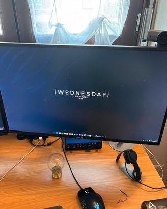 Coppia di monitor Asus 27 pollici con supporto