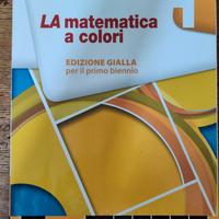 libro di matematica alberghiero 