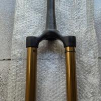 Steli Fox 32 Kashima