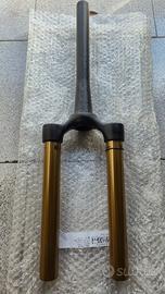 Steli Fox 32 Kashima