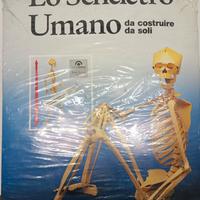 Lo scheletro umano 