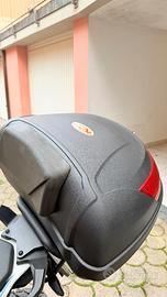 Bauletto moto completo piastra e schienale gomma