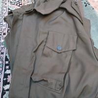 mimetica militare