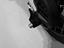 Immagine 7