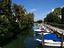 Immagine 11