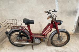 Motorino Stella Veneta Pachito