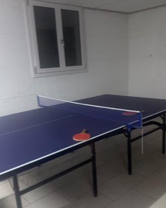 Tavolo Ping pong