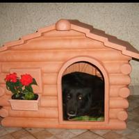 Cuccia per cani