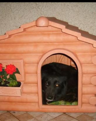 Cuccia per cani