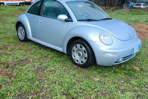 New Beetle 