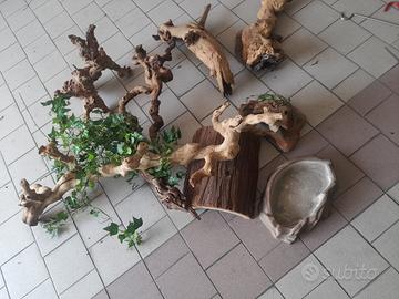 Accessori per terrari
