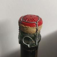 BOTTIGLIE SPUMANTI VINTAGE