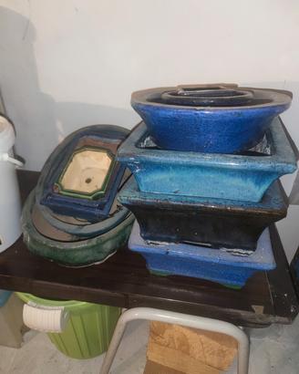 vasi bonsai