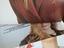 Immagine 5