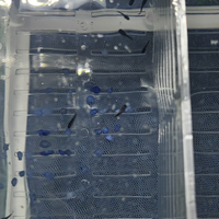 Avanotto di Black molly Balloon