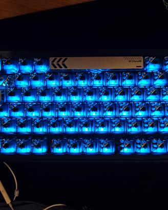 rog azoth extreme