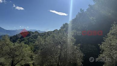 Terreno Agricolo Fumone [Cod. rif 3318314VRG]