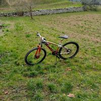 Mountain bike rossa e bianca