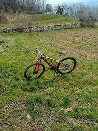 Mountain bike rossa e bianca