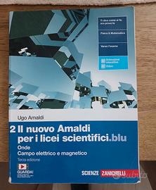 Il nuovo Amaldi blu - Vol.2