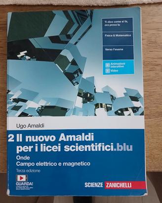 Il nuovo Amaldi blu - Vol.2