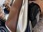 Immagine 15