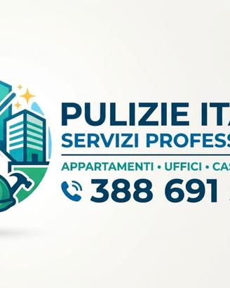 Impresa di pulizia