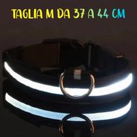 Collare per Cani in nylon con LED ⭐ Nuovo ⭐