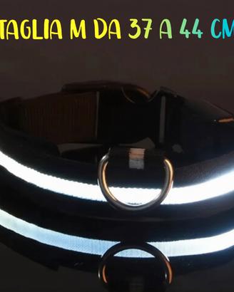 Collare per Cani in nylon con LED ⭐ Nuovo ⭐