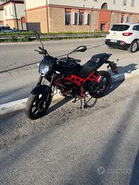2025 Benelli BN 125