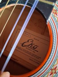 Chitarra eko CS-10