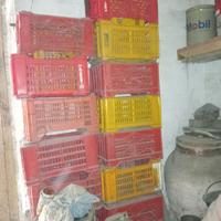 Robuste cassette frutta in plastica