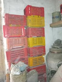 Robuste cassette frutta in plastica