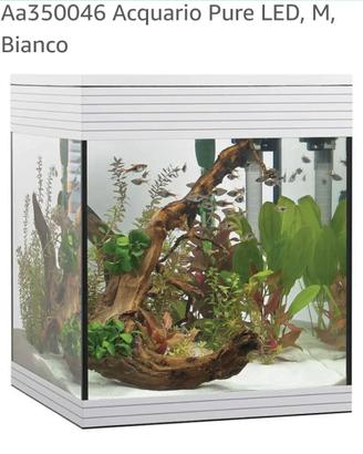 Acquario askoll pure m nuovo
