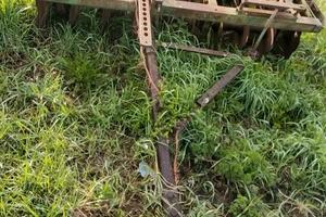 MORGANO a 20 DISCHI TRAINATO