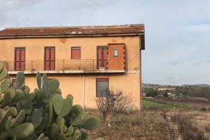 Terreno + casa + stallone + paglira