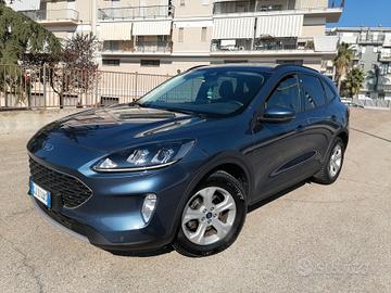 Ford Kuga 1.5 EcoBlue 120 CV Titanium 2022