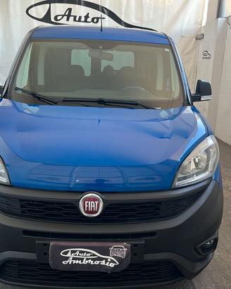 Fiat Professional Doblò Doblo 1.3 mjt 95cv CH1 Bus