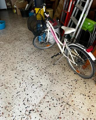Bicicletta ragazza  26 pollici Lombardo