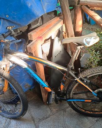 bici torpado