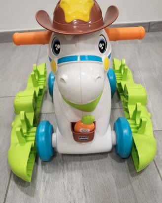 cavallino Chicco