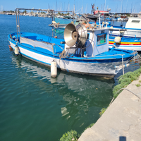 Barca da pesca con lice nza