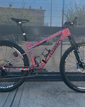 Specialized Epic WC  2025 L