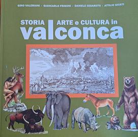 STORIA, ARTE E CULTURA IN VALCONCA