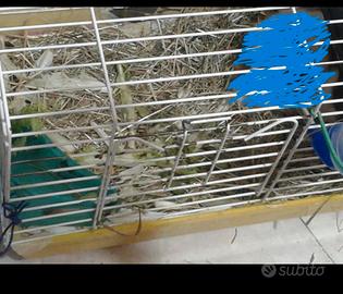 gabbia per piccoli roditori