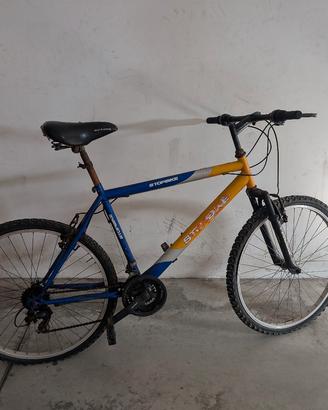 bicicletta 