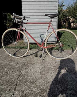 Bici da passeggio